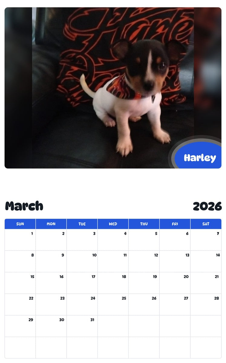 November 2025 - October 2026 Harley - Pawidols Pet Calendar