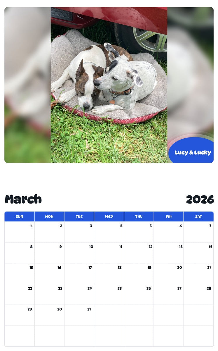 November 2025 - October 2026 Lucy & Lucky - Pawidols Pet Calendar
