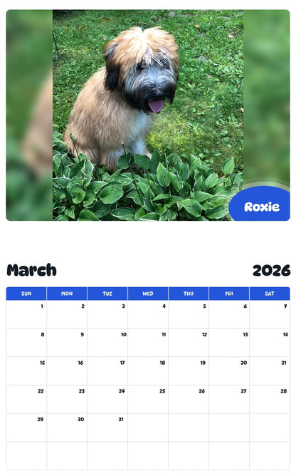 November 2025 - October 2026 Roxie - Pawidols Pet Calendar