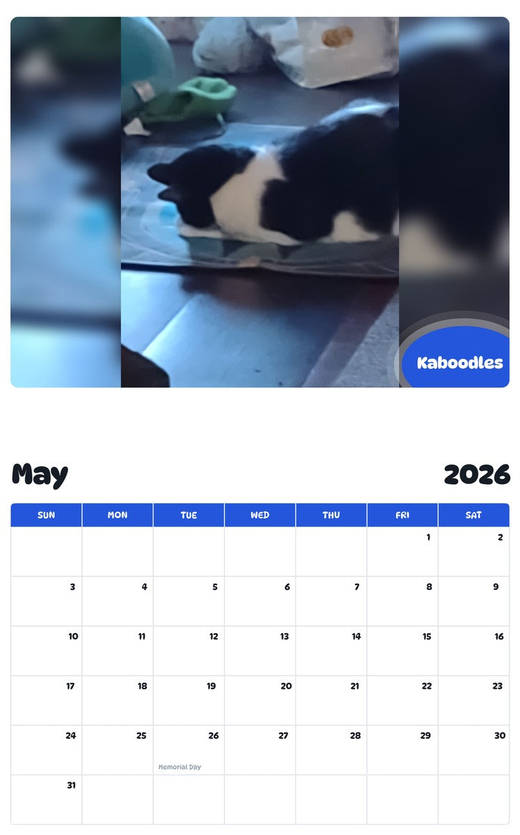 2026 - 2027 Kaboodles - Pawidols Pet Calendar
