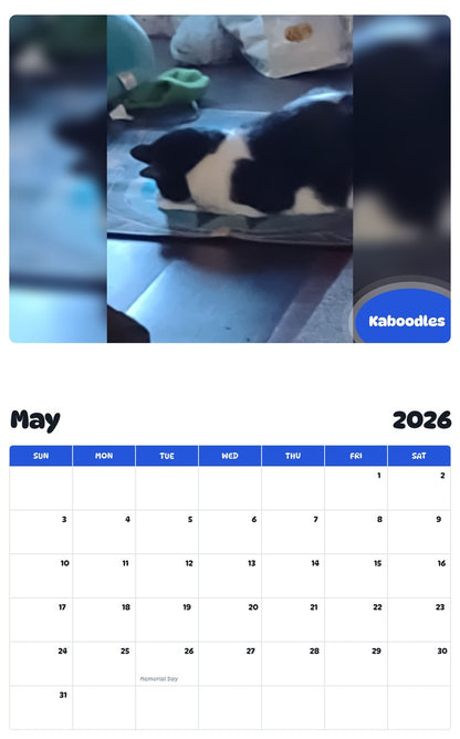 2026 - 2027 Kaboodles - Pawidols Pet Calendar