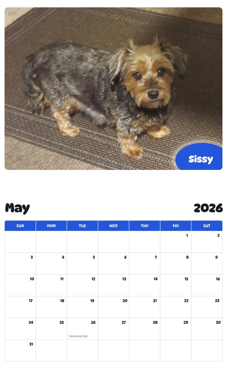 2026 - 2027 Sissy - Pawidols Pet Calendar