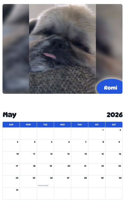 2026 - 2027 Romi - Pawidols Pet Calendar