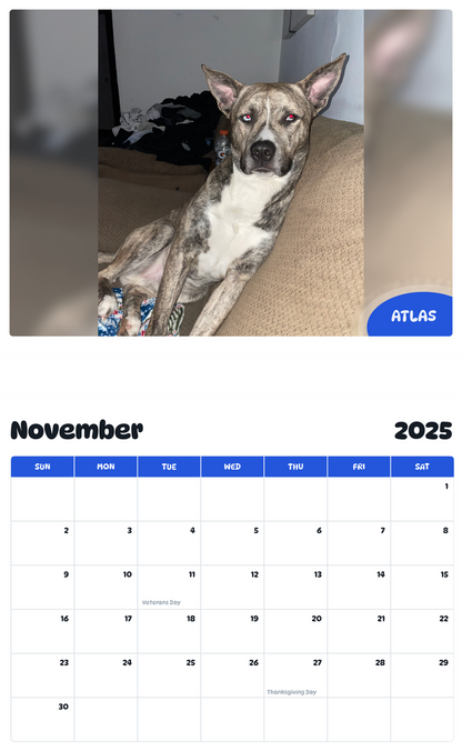 July 2025 - June 2026 Atlas - Pawidols Pet Calendar