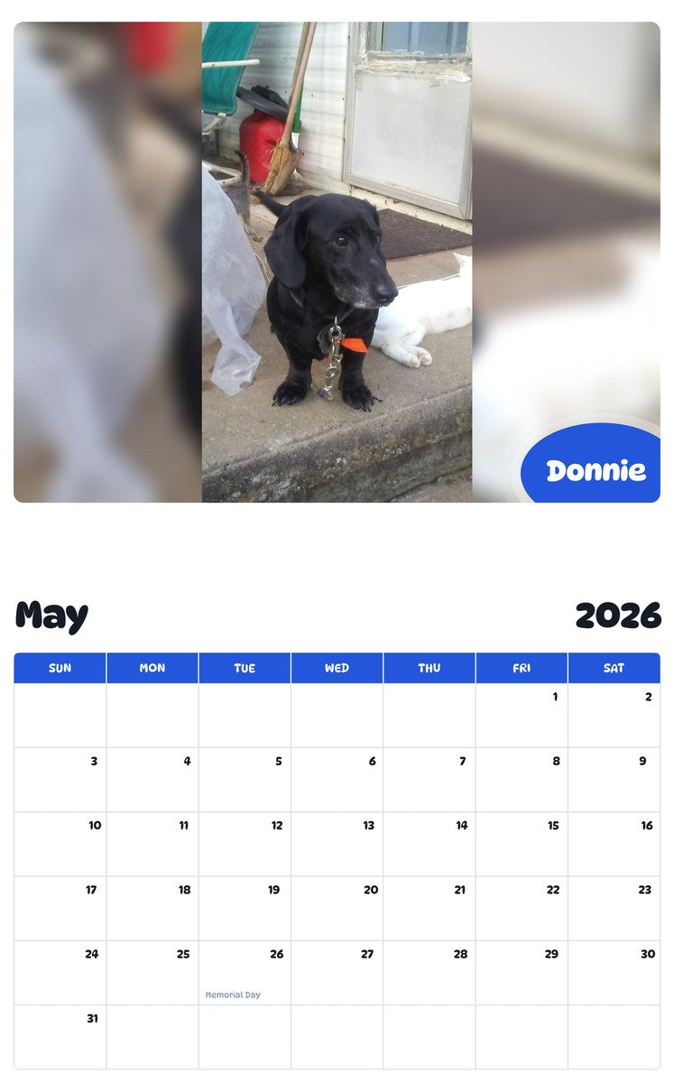 2026 - 2027 Donnie - Pawidols Pet Calendar