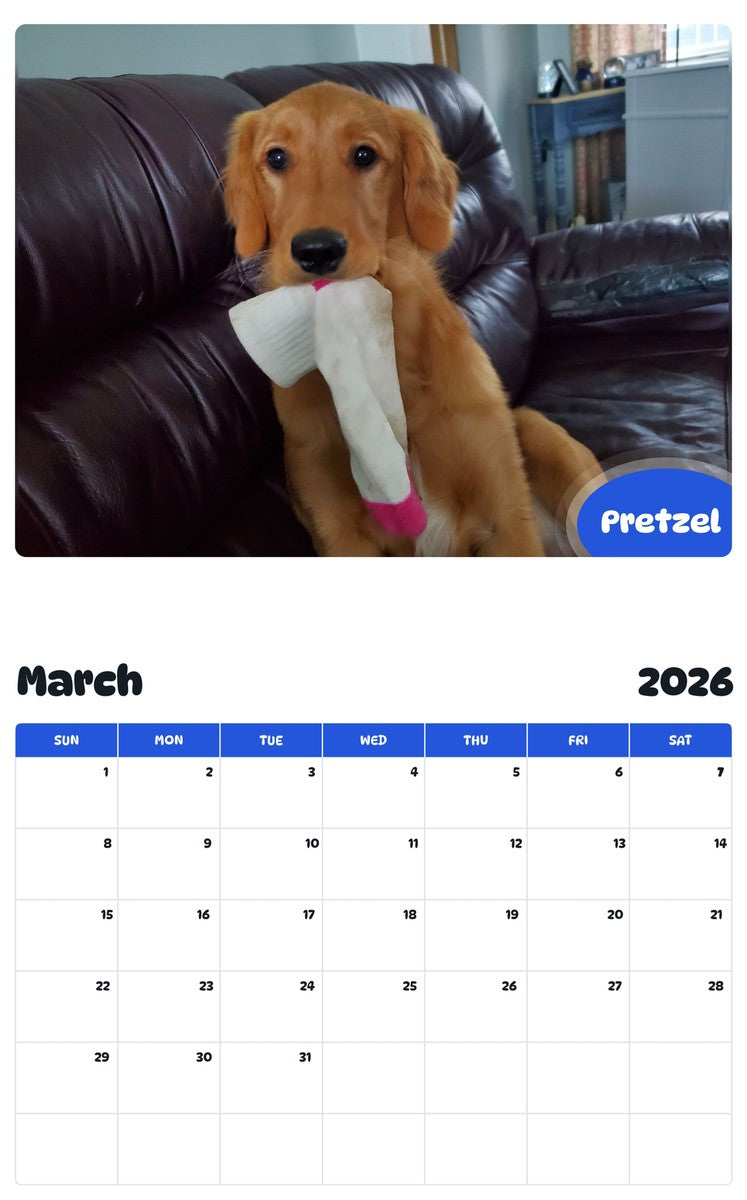 November 2025 - October 2026 Pretzel - Pawidols Pet Calendar