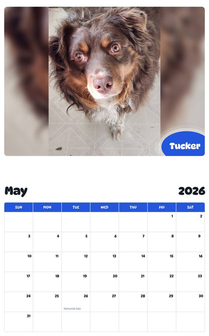 2026 - 2027 Tucker - Pawidols Pet Calendar