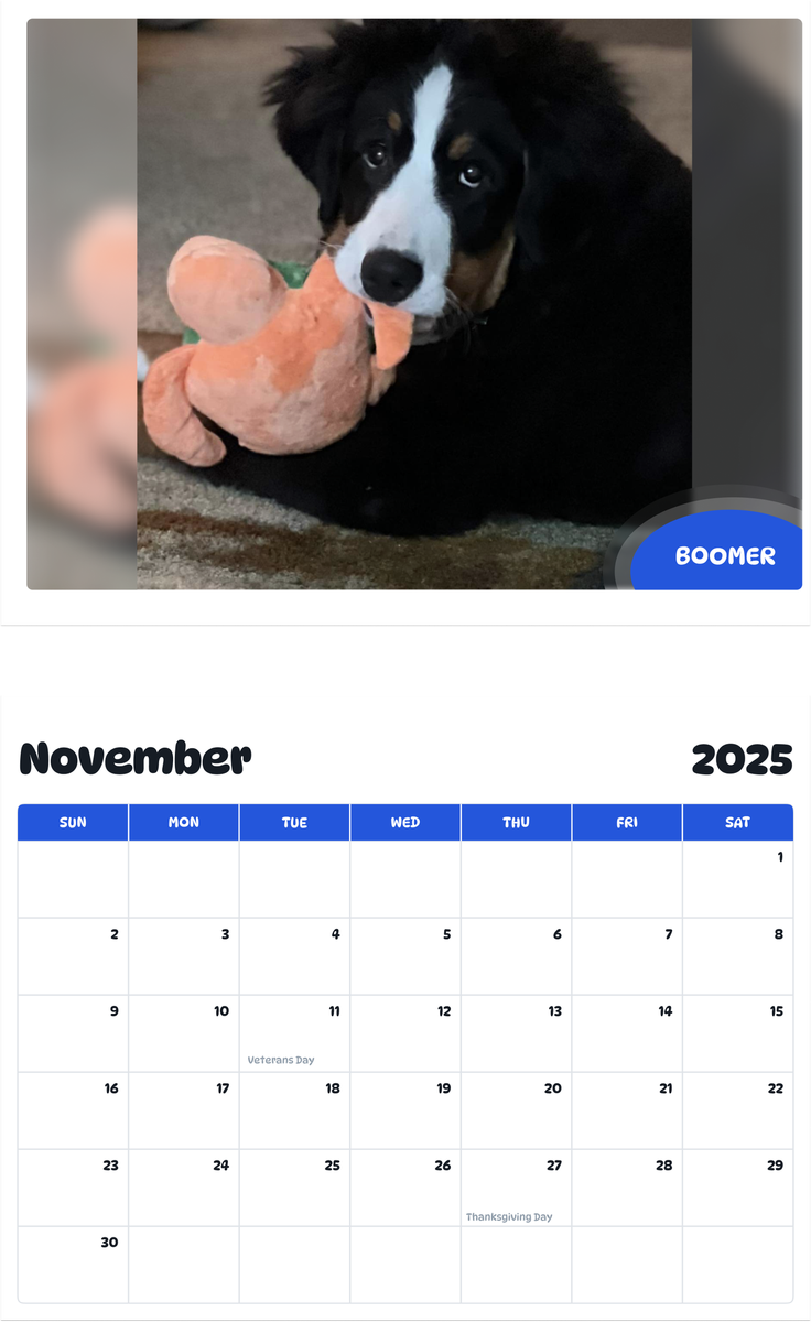 July 2025 - June 2026 Boomer - Pawidols Pet Calendar