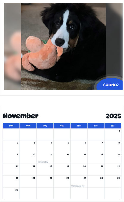 July 2025 - June 2026 Boomer - Pawidols Pet Calendar