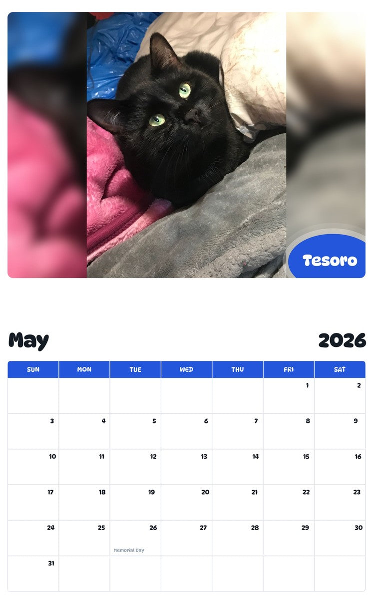 2026 - 2027 Tesoro - Pawidols Pet Calendar