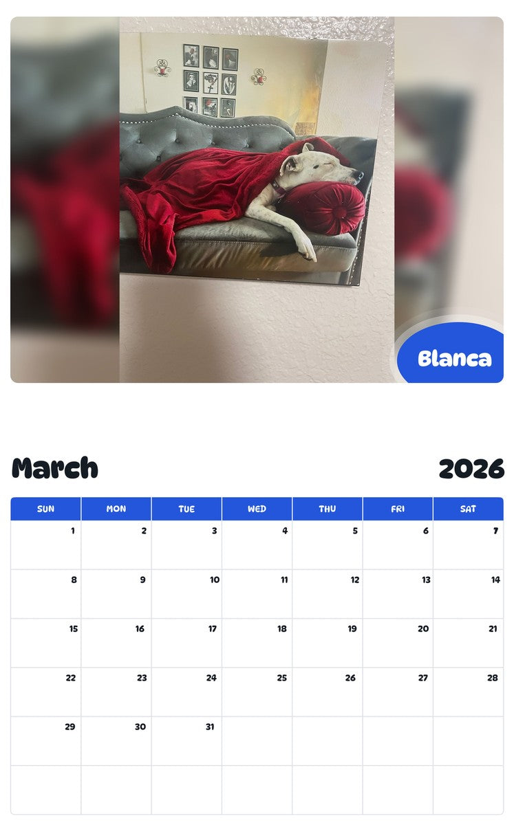 November 2025 - October 2026 Blanca - Pawidols Pet Calendar