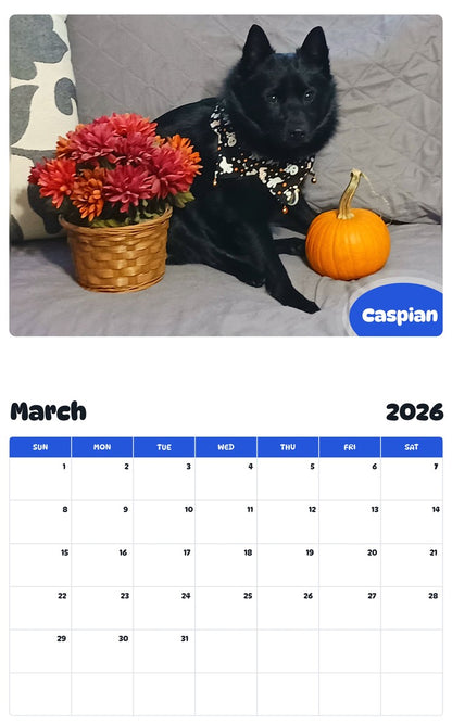 November 2025 - October 2026 Caspian - Pawidols Pet Calendar