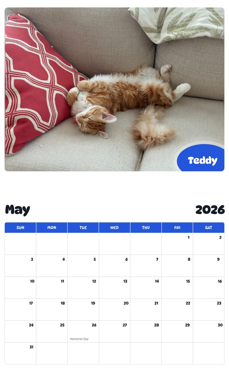 2026 - 2027 Teddy - Pawidols Pet Calendar