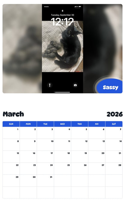 November 2025 - October 2026 Sassy - Pawidols Pet Calendar
