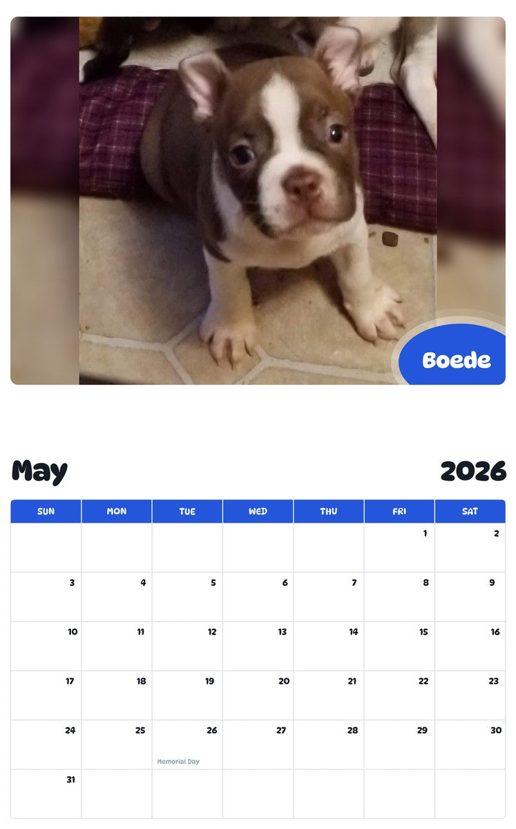 2026 - 2027 Boede - Pawidols Pet Calendar