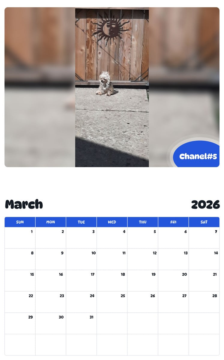 November 2025 - October 2026 Chanel#5 - Pawidols Pet Calendar