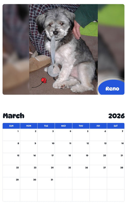 November 2025 - October 2026 Reno - Pawidols Pet Calendar