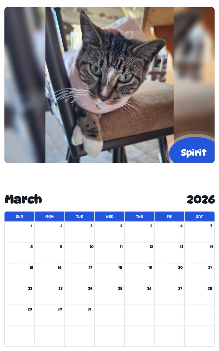 November 2025 - October 2026 Spirit - Pawidols Pet Calendar