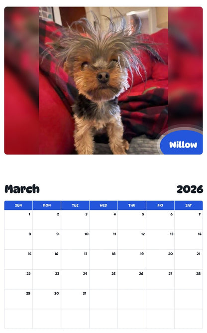 November 2025 - October 2026 Willow - Pawidols Pet Calendar