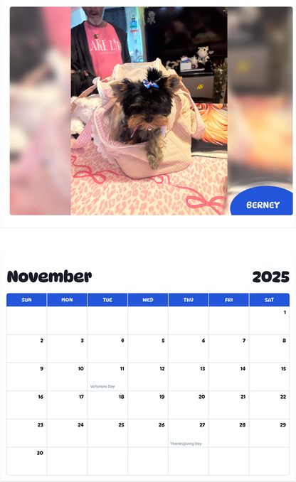 July 2025 - June 2026 Berney - Pawidols Pet Calendar