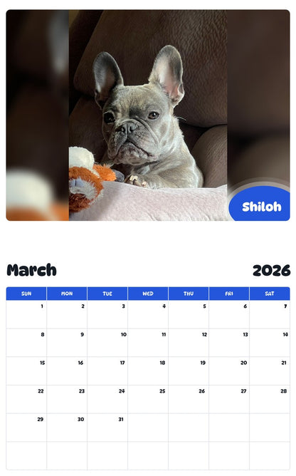 November 2025 - October 2026 Shiloh - Pawidols Pet Calendar