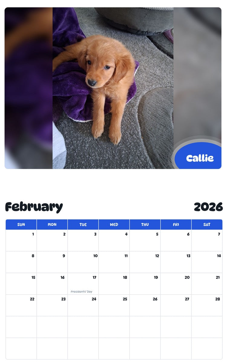 November 2025 - October 2026 Callie - Pawidols Pet Calendar
