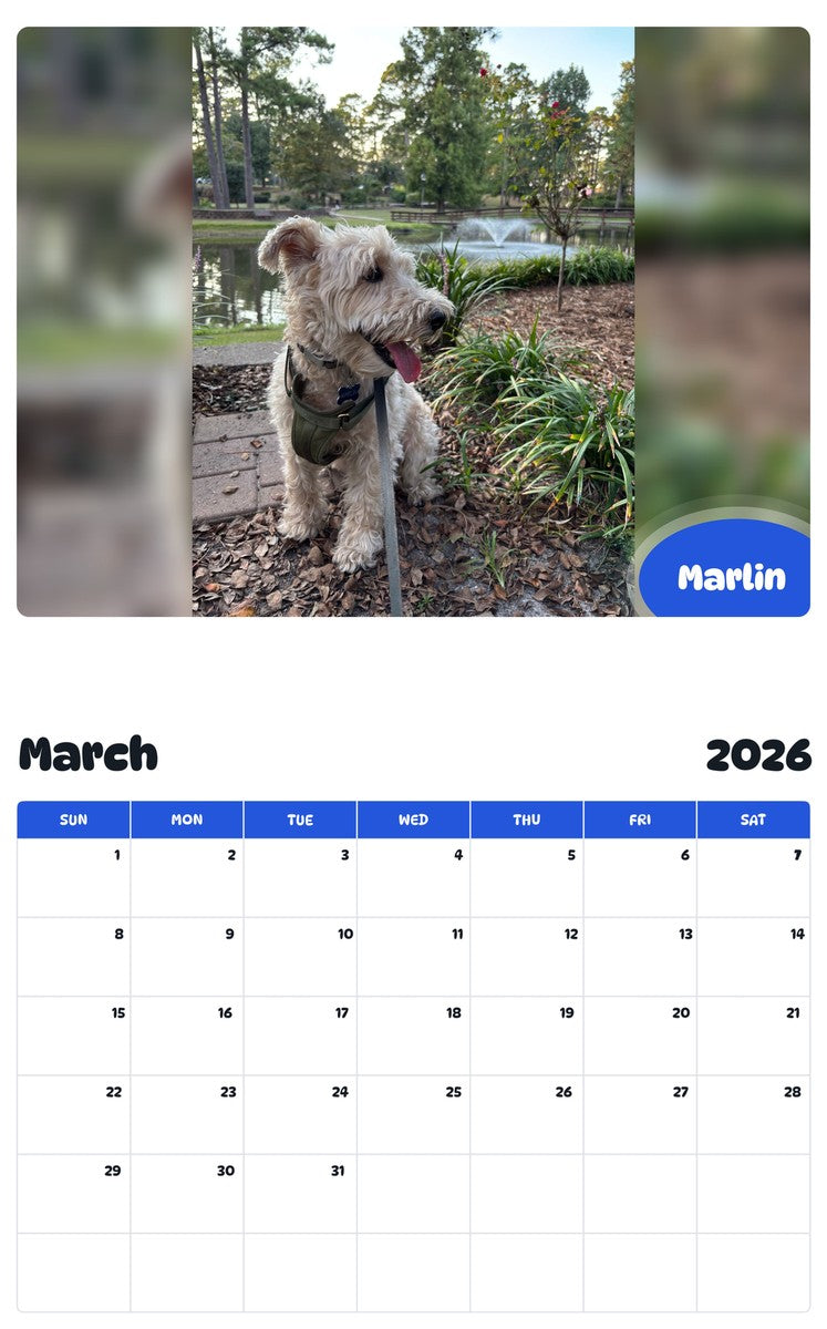 November 2025 - October 2026 Marlin - Pawidols Pet Calendar