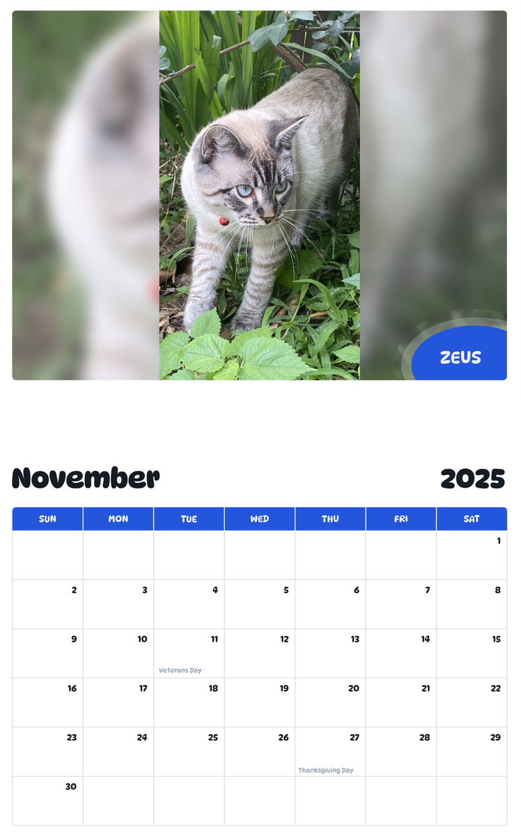 July 2025 - June 2026 Zeus - Pawidols Pet Calendar