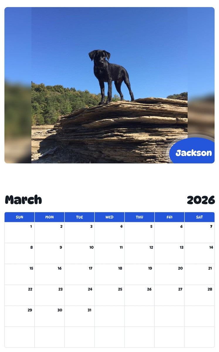 November 2025 - October 2026 Jackson - Pawidols Pet Calendar