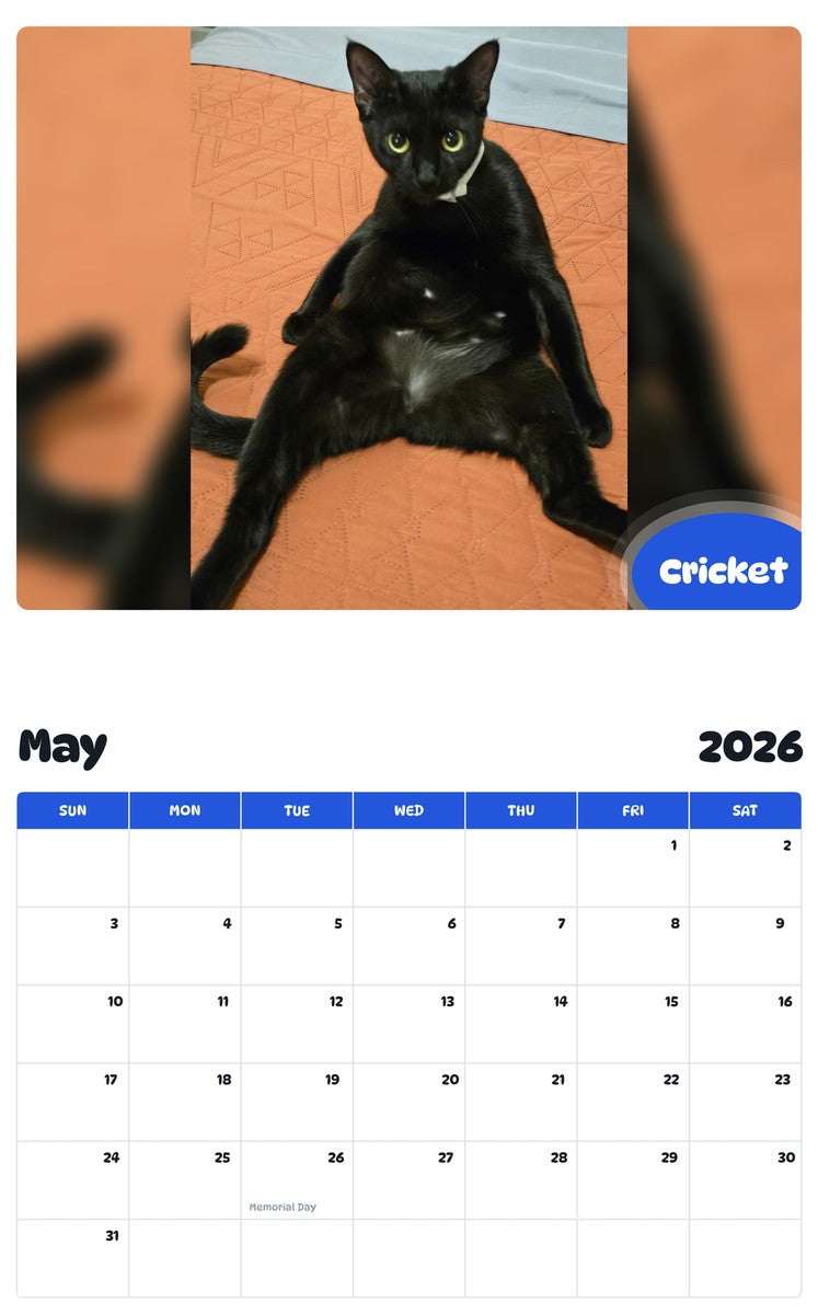 2026 - 2027 Cricket - Pawidols Pet Calendar