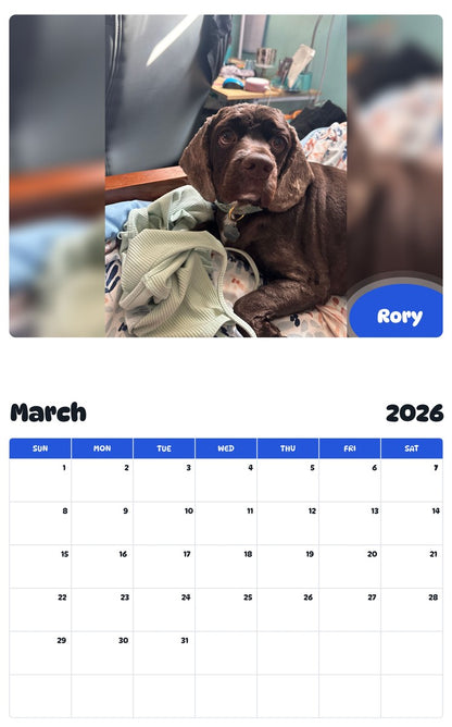 November 2025 - October 2026 Rory - Pawidols Pet Calendar