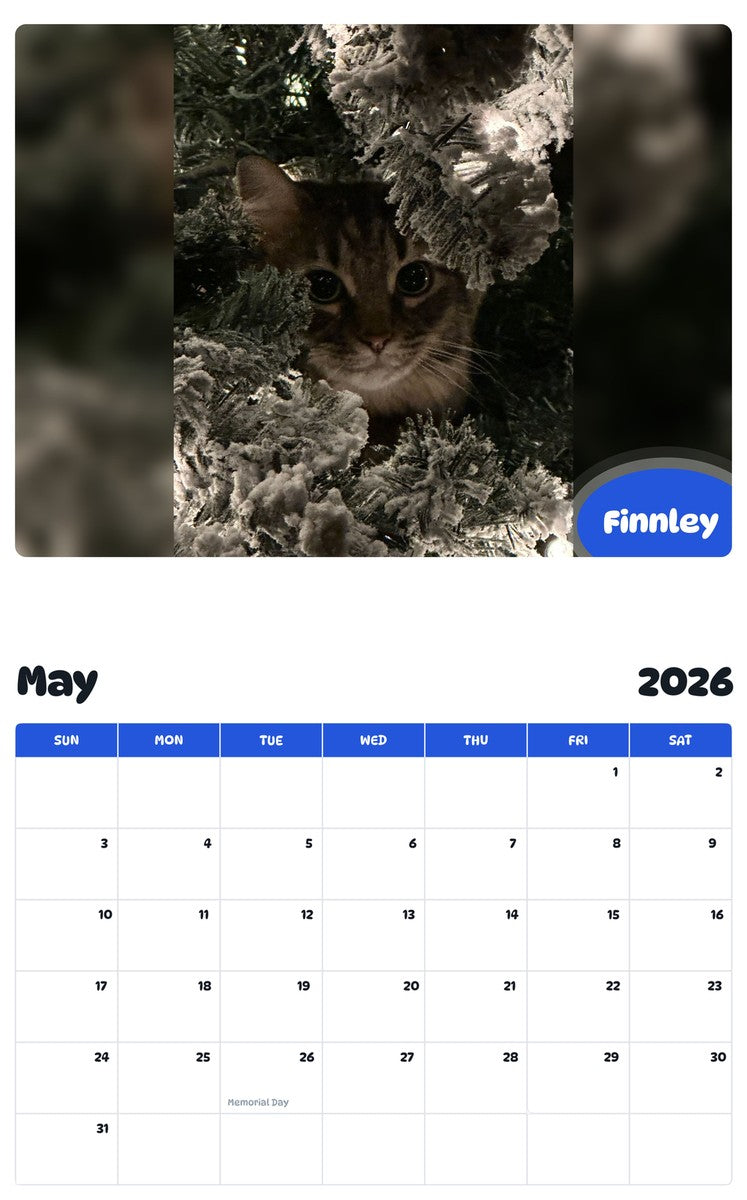 2026 - 2027 Finnley - Pawidols Pet Calendar