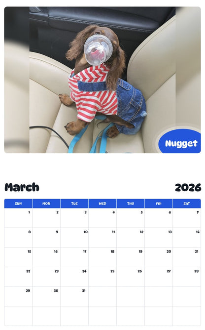 November 2025 - October 2026 Nugget - Pawidols Pet Calendar