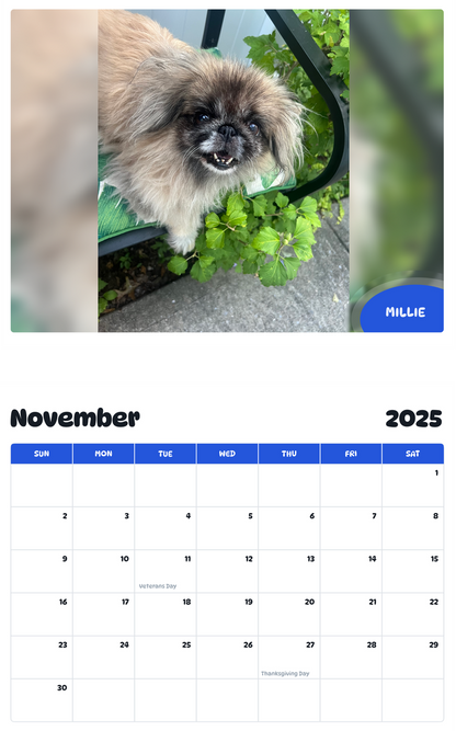 July 2025 - June 2026 Millie - Pawidols Pet Calendar