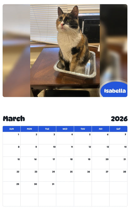 November 2025 - October 2026 Isabella - Pawidols Pet Calendar