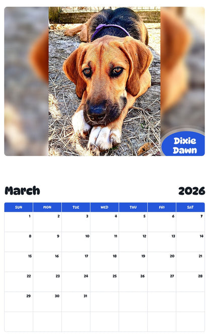 November 2025 - October 2026 Dixie Dawn - Pawidols Pet Calendar