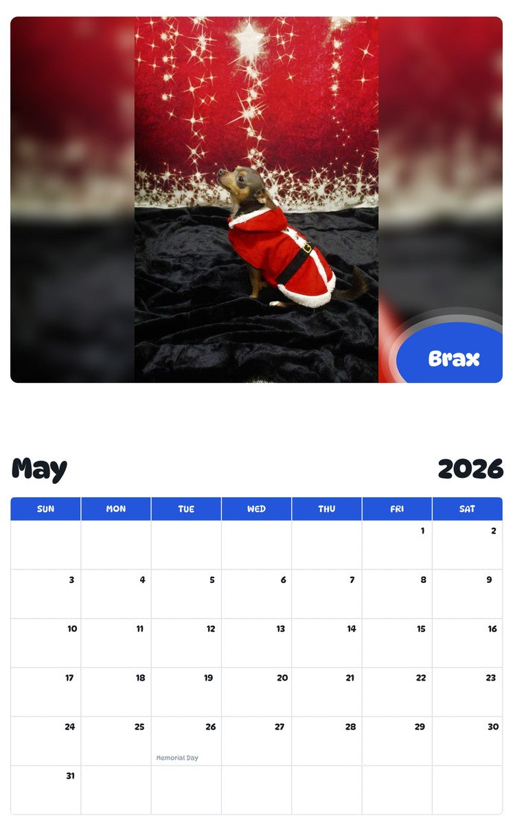 2026 - 2027 Brax - Pawidols Pet Calendar