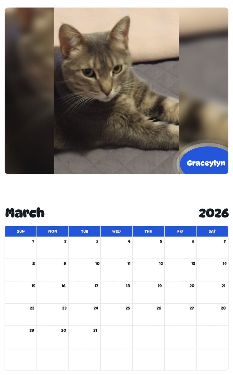 November 2025 - October 2026 Graceylyn - Pawidols Pet Calendar