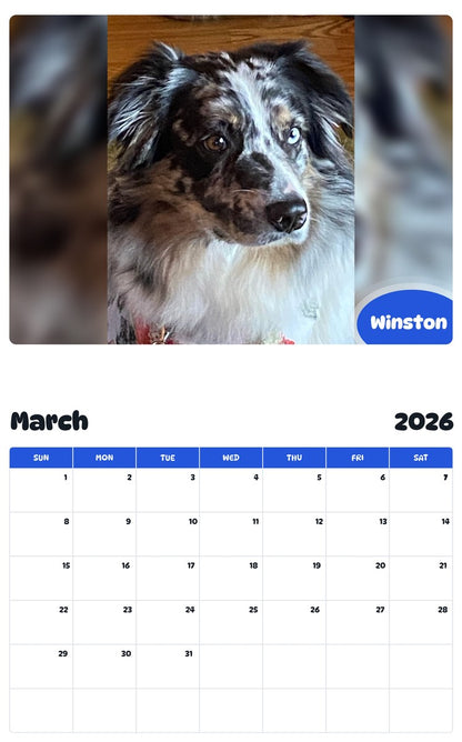 November 2025 - October 2026 Winston - Pawidols Pet Calendar