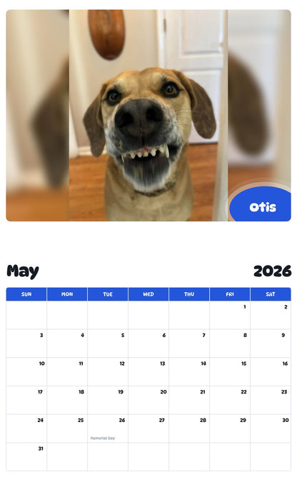 2026 - 2027 Otis - Pawidols Pet Calendar