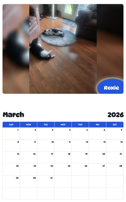 November 2025 - October 2026 Roxie - Pawidols Pet Calendar