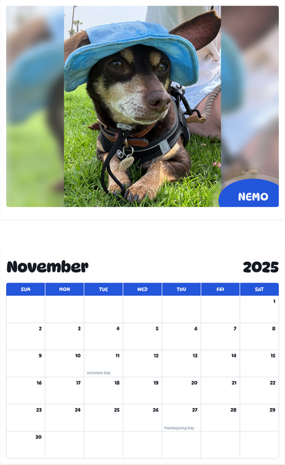 July 2025 - June 2026 Nemo - Pawidols Pet Calendar