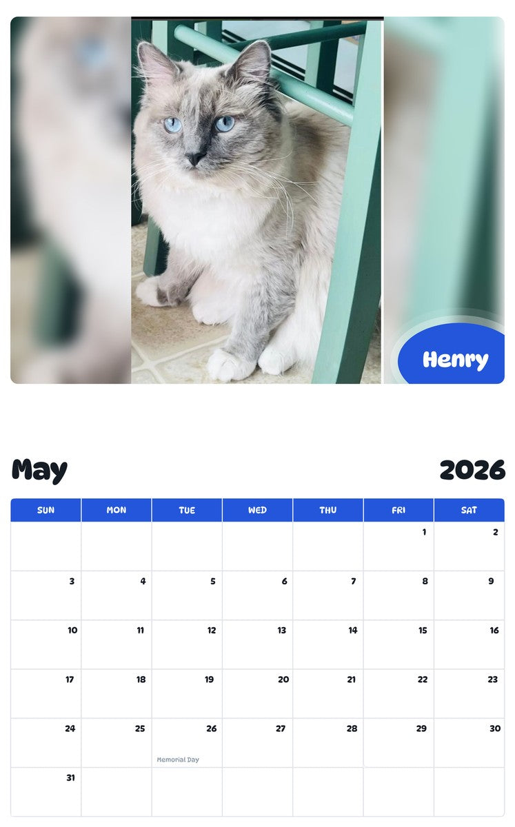 2026 - 2027 Henry - Pawidols Pet Calendar