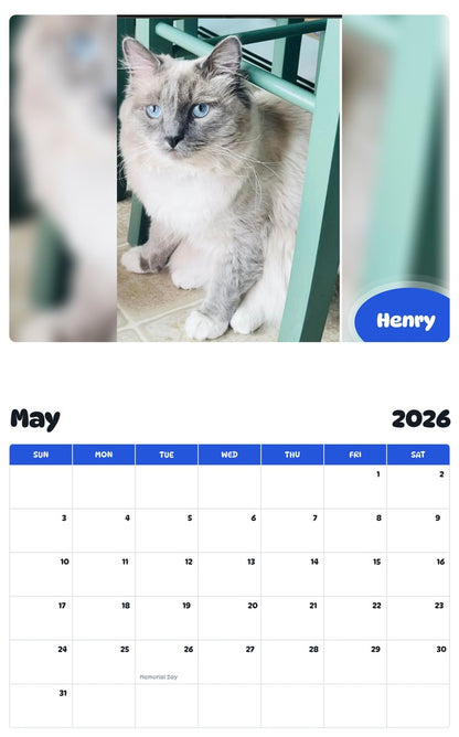 2026 - 2027 Henry - Pawidols Pet Calendar