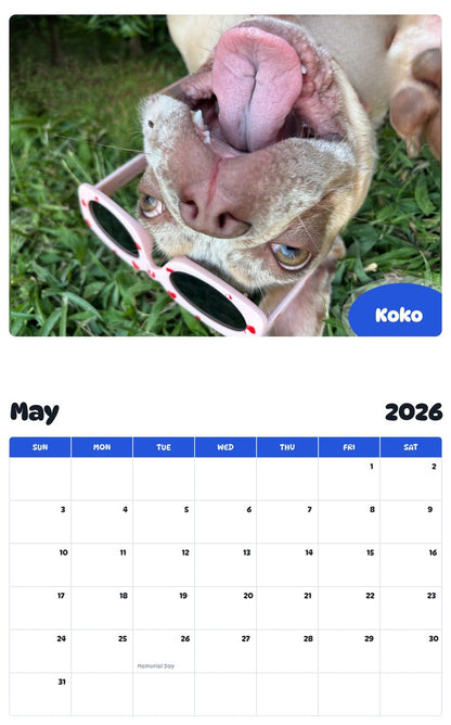 2026 - 2027 Koko - Pawidols Pet Calendar