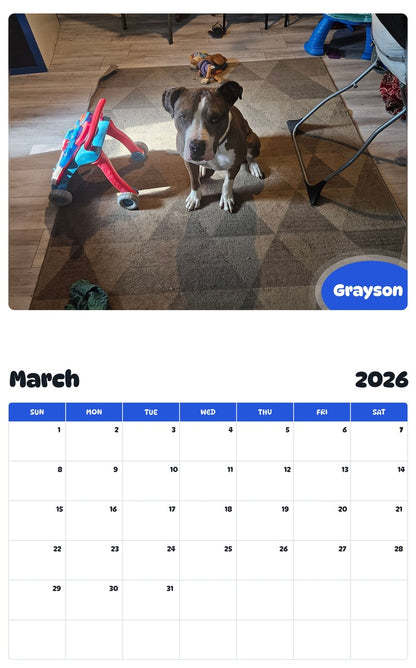 November 2025 - October 2026 Grayson - Pawidols Pet Calendar