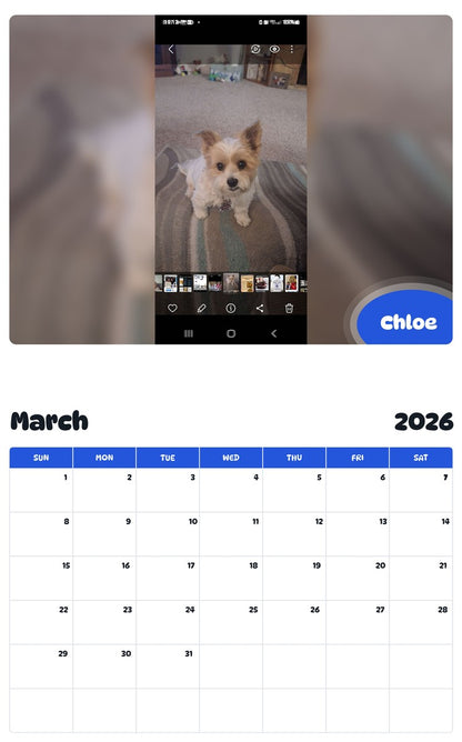November 2025 - October 2026 Chloe - Pawidols Pet Calendar