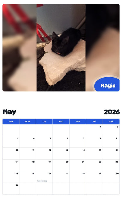 2026 - 2027 Magic - Pawidols Pet Calendar