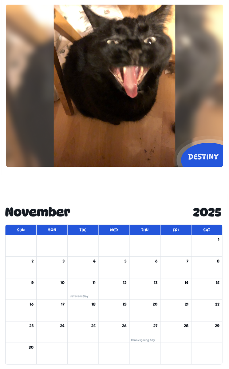 July 2025 - June 2026 Destiny - Pawidols Pet Calendar