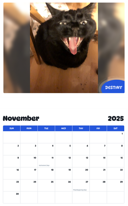 July 2025 - June 2026 Destiny - Pawidols Pet Calendar